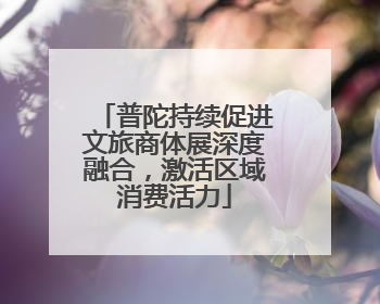普陀持续促进文旅商体展深度融合，激活区域消费活力