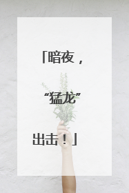 暗夜，“猛龙”出击！