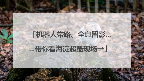 机器人带路、全息留影……带你看海淀超酷现场→