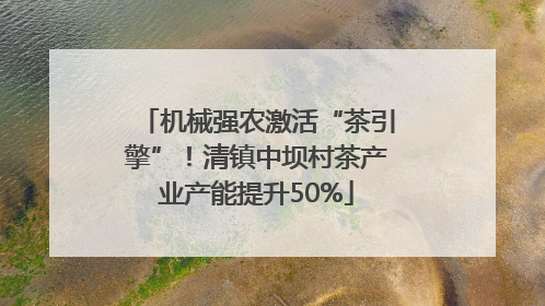 机械强农激活“茶引擎”！清镇中坝村茶产业产能提升50%