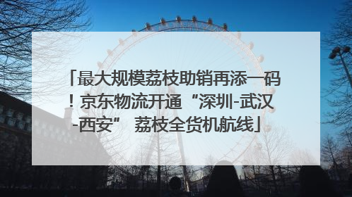 最大规模荔枝助销再添一码！京东物流开通“深圳-武汉-西安” 荔枝全货机航线
