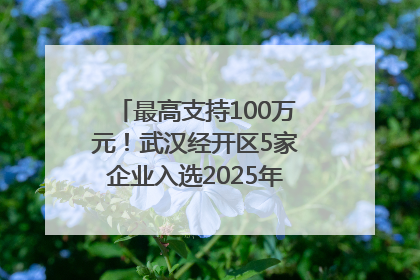 最高支持100万元！武汉经开区5家企业入选2025年度武汉市重点研发计划拟立项项目名单