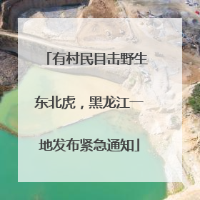 有村民目击野生东北虎，黑龙江一地发布紧急通知