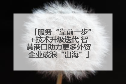 服务“靠前一步”+技术升级迭代 智慧港口助力更多外贸企业破浪“出海”
