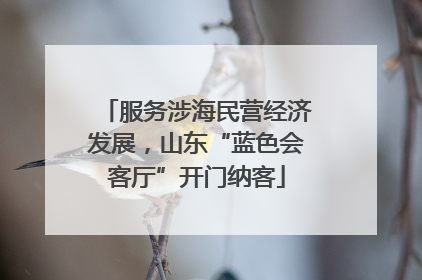 服务涉海民营经济发展，山东“蓝色会客厅”开门纳客