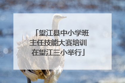 望江县中小学班主任技能大赛培训在望江三小举行