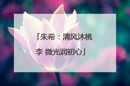 朱希：清风沐桃李 微光润初心