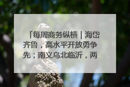 每周商务纵横｜海岱齐鲁，高水平开放勇争先；南义乌北临沂，两扇窗里观外贸