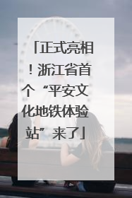 正式亮相！浙江省首个“平安文化地铁体验站”来了