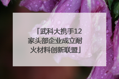 武科大携手12家头部企业成立耐火材料创新联盟