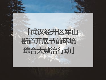 武汉经开区军山街道开展节前环境综合大整治行动