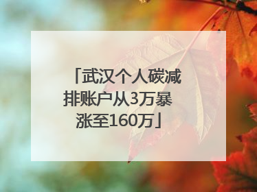 武汉个人碳减排账户从3万暴涨至160万