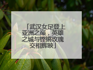 武汉女足登上亚洲之巅，英雄之城与铿锵玫瑰交相辉映