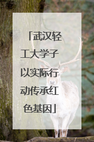 武汉轻工大学子以实际行动传承红色基因