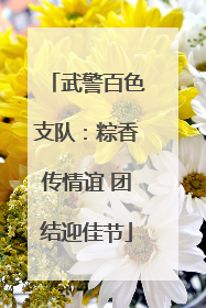 武警百色支队：粽香传情谊 团结迎佳节