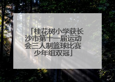 桂花树小学获长沙市第十一届运动会三人制篮球比赛少年组双冠