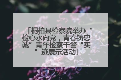 桐柏县检察院举办“检心永向党，青春铸忠诚”青年检察干警“实”迹展示活动