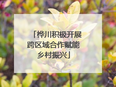 桦川积极开展跨区域合作赋能乡村振兴