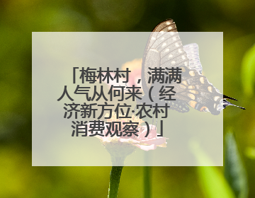 梅林村，满满人气从何来（经济新方位·农村消费观察）