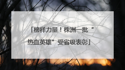 榜样力量！株洲一批“热血英雄”受省级表彰