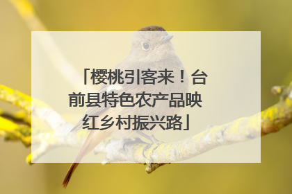 樱桃引客来！台前县特色农产品映红乡村振兴路
