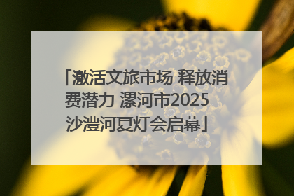 激活文旅市场 释放消费潜力 漯河市2025沙澧河夏灯会启幕