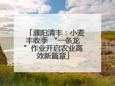 濮阳清丰：小麦丰收季 “一条龙”作业开启农业高效新篇章