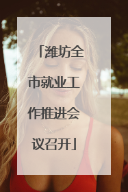 潍坊全市就业工作推进会议召开