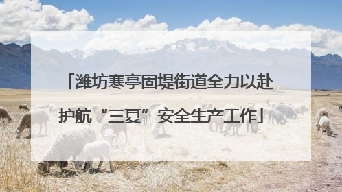 潍坊寒亭固堤街道全力以赴护航“三夏”安全生产工作