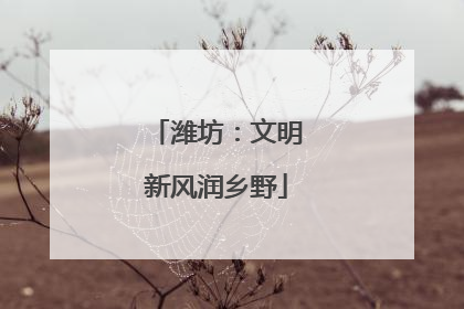 潍坊：文明新风润乡野