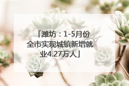 潍坊：1-5月份全市实现城镇新增就业4.27万人