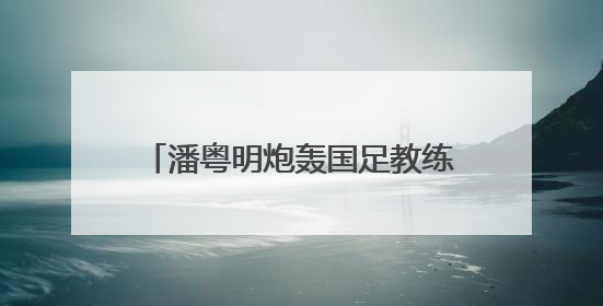 潘粤明炮轰国足教练伊万：一个装傻不辞职的所谓教练，你指望它拯救中国足球！此前曾多次发文评价国足