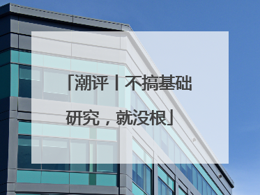 潮评丨不搞基础研究，就没根
