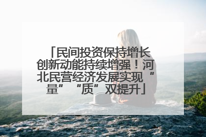 民间投资保持增长 创新动能持续增强！河北民营经济发展实现“量”“质”双提升