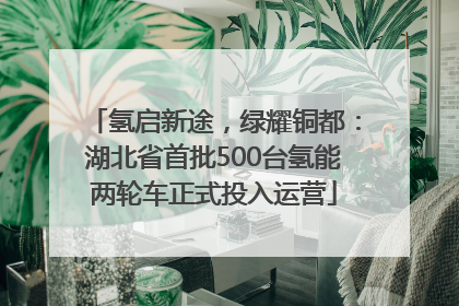 氢启新途，绿耀铜都：湖北省首批500台氢能两轮车正式投入运营