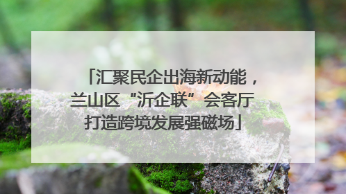 汇聚民企出海新动能，兰山区“沂企联”会客厅打造跨境发展强磁场