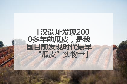 汉遗址发现2000多年前瓜皮，是我国目前发现时代最早“瓜皮”实物→