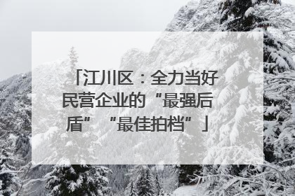 江川区：全力当好民营企业的“最强后盾”“最佳拍档”