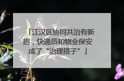江汉区协同共治有新招，快递员和物业保安成了“治理搭子”