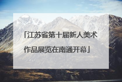 江苏省第十届新人美术作品展览在南通开幕