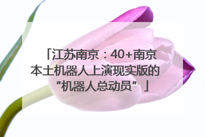 江苏南京：40+南京本土机器人上演现实版的“机器人总动员”