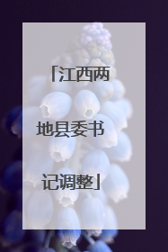 江西两地县委书记调整