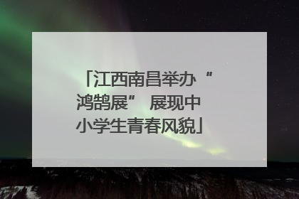 江西南昌举办“鸿鹄展” 展现中小学生青春风貌