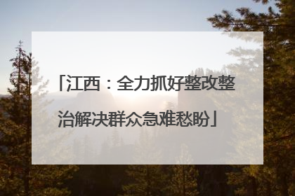 江西：全力抓好整改整治解决群众急难愁盼