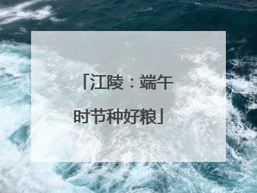 江陵：端午时节种好粮