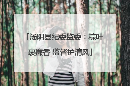 汤阴县纪委监委：粽叶裹廉香 监督护清风