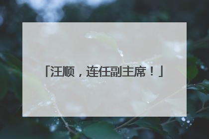 汪顺，连任副主席！