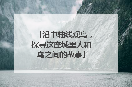 沿中轴线观鸟，探寻这座城里人和鸟之间的故事
