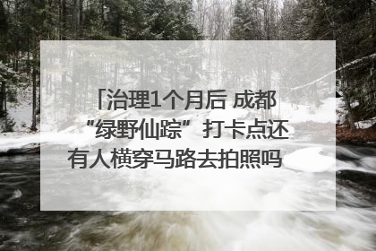 治理1个月后 成都“绿野仙踪”打卡点还有人横穿马路去拍照吗？｜民情瞭望