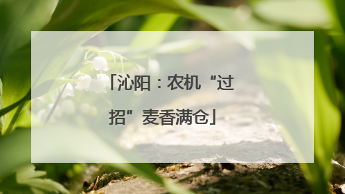 沁阳：农机“过招”麦香满仓